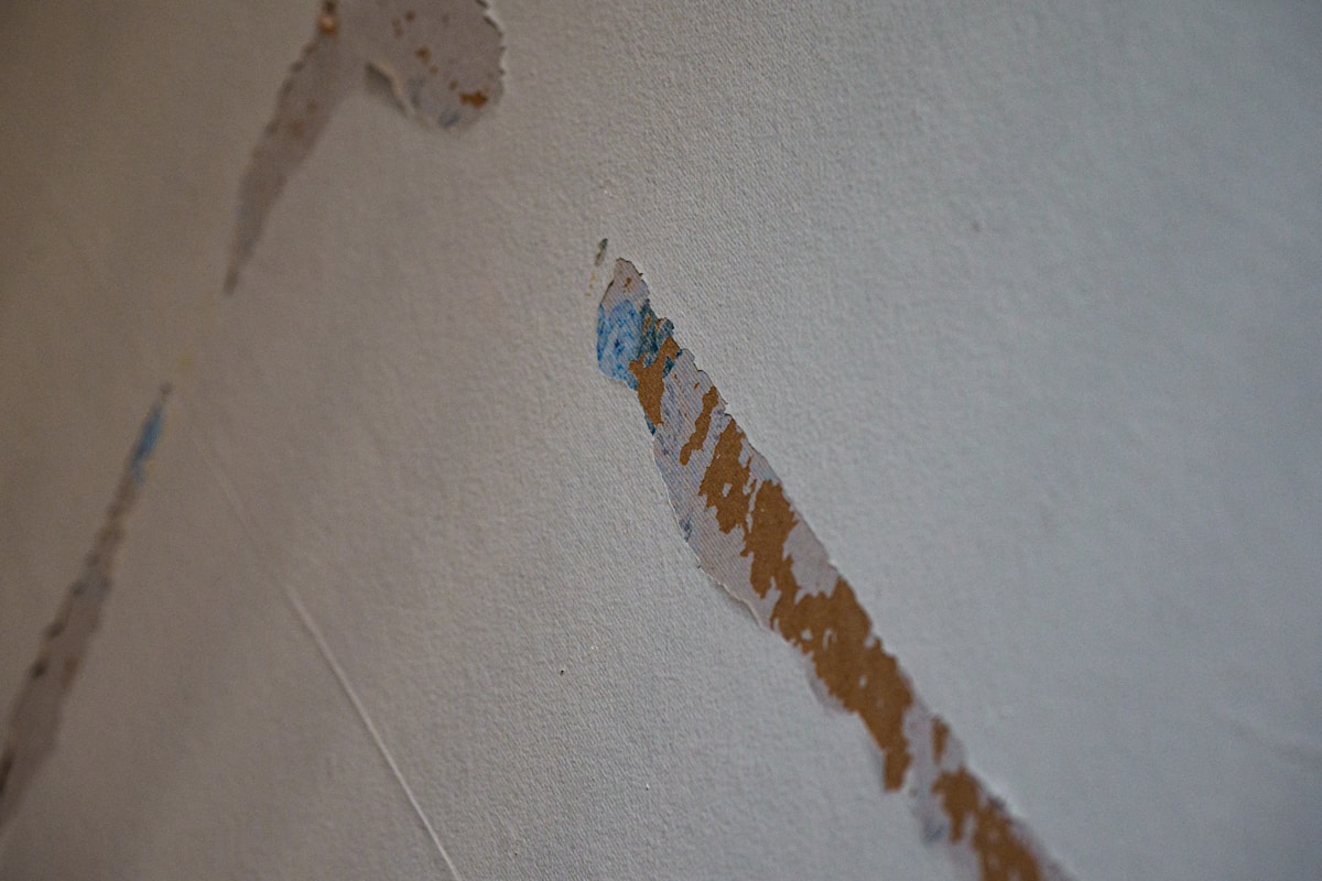 Flood Cleanup service in Roswell, GA